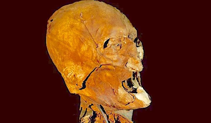 INCROYABLE - La tête momifiée d’Henri IV va bientôt prendre la parole